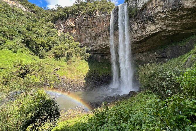 Private Premium Transfer from Porto Alegre to Gramado or Canela - Who Would Benefit Most?