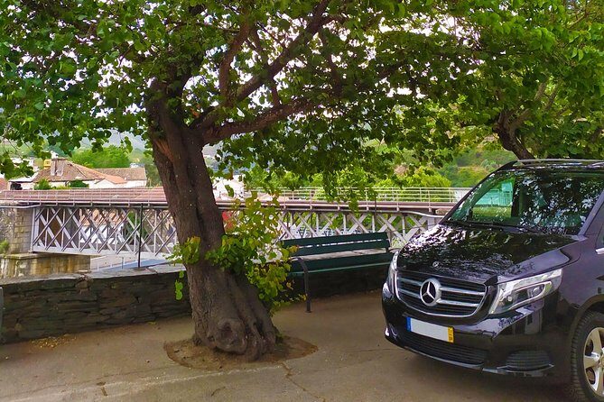 Private Premium Wine Experience through Douro Valley - The Gourmet Farm-to-Table Lunch