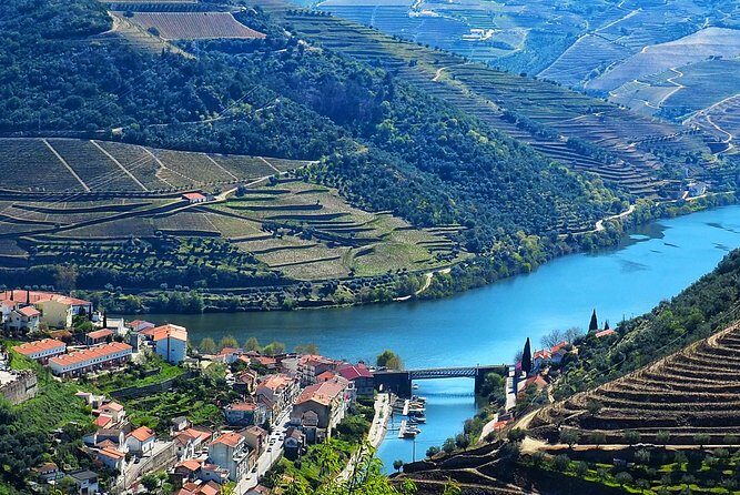 Private Premium Wine Experience through Douro Valley - Practical Aspects and Logistics