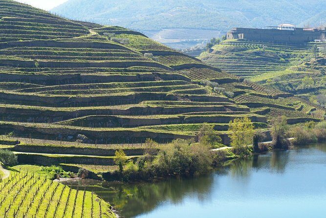 Private Premium Wine Experience through Douro Valley - Authentic, Well-Reviewed, and Highly Recommended