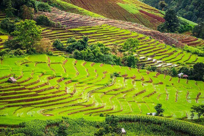 Private Program Discovery Chiang Mai - Half/Full day / Night tour - FAQ