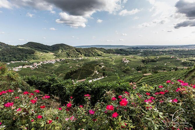 Private Prosecco Tour, with a certified Sommelier - A Deep Dive into the Prosecco Tour