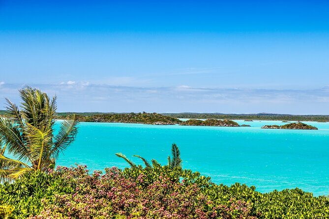 Private Providenciales Island Tours of Turks and Caicos - Exploring Providenciales: An Honest Look at the Tour