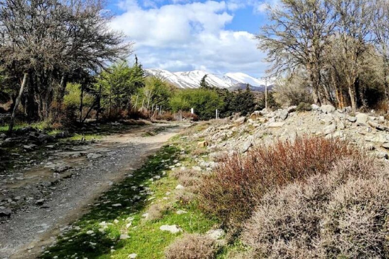 Private Psiloritis Mountain of Gods & Cooking Lesson - Value and Practical Insights