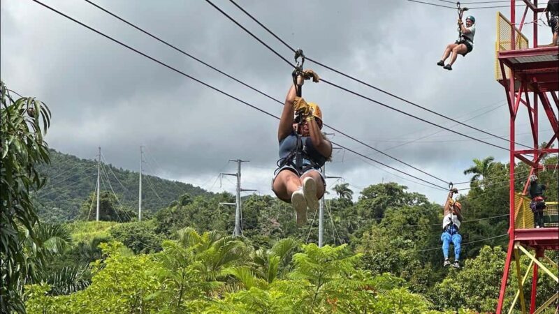 Private: Puerto Plata Zip-Line Thrill Experience - A detailed look at what to expect