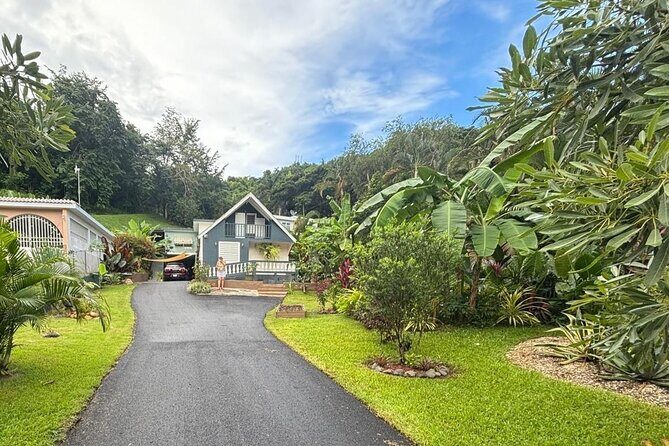 Private Puerto Rican Cooking Class with Cocktails Near San Juan - Who This Experience Is Best For