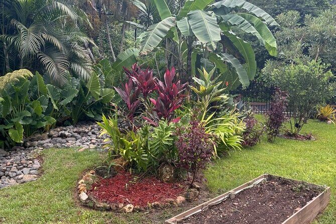 Private Puerto Rican Cooking Class with Cocktails Near San Juan - FAQ