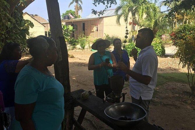 Private Punta Cana Airport Service - Who Should Consider This Tour?