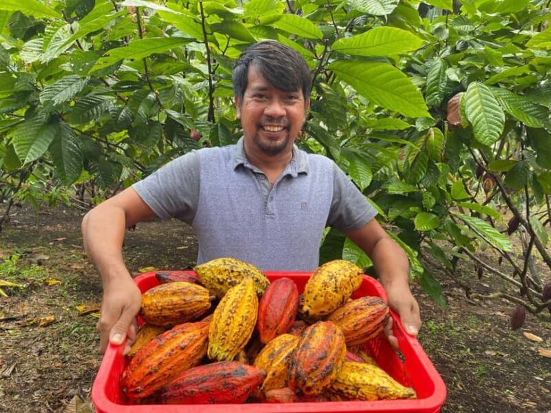 Private: Punta Cana: Buggy Tour with Cenote Swim & Macao - Who Would Love This Tour?