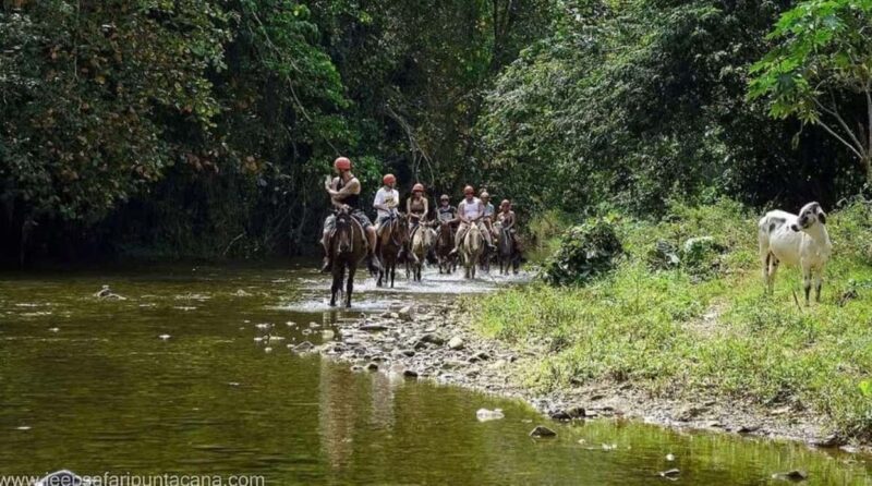 Private Punta Cana Full-Day Safari & Nature Adventure - Frequently Asked Questions (FAQs)