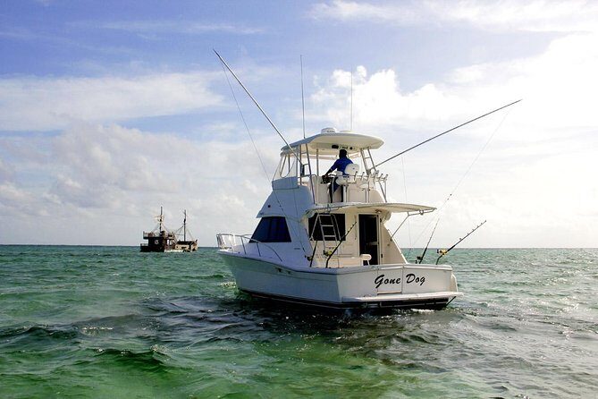 Private Punta Cana Six Hour Fishing Charter - A Practical Guide to Your Punta Cana Fishing Charter