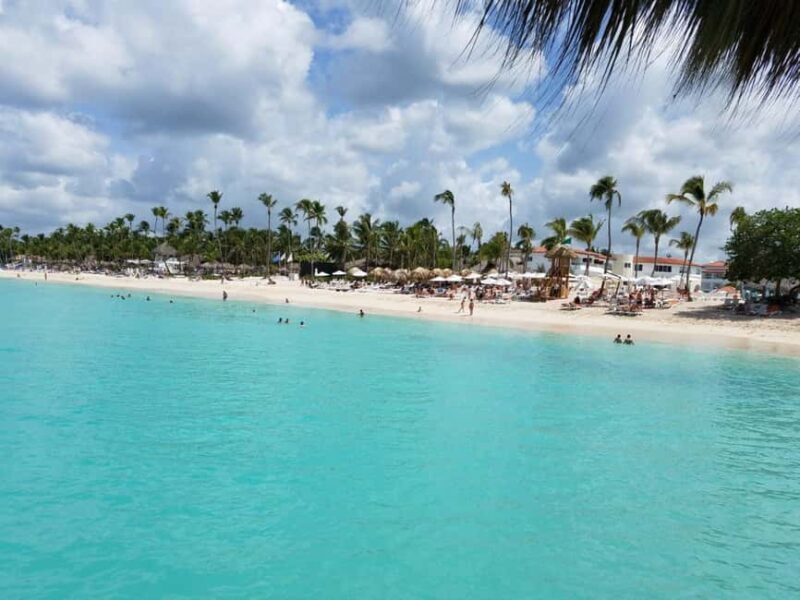 Private: Punta Cana to Catalina: Snorkeling, Beach & Buffet - An Ideal Introduction to Catalina Island