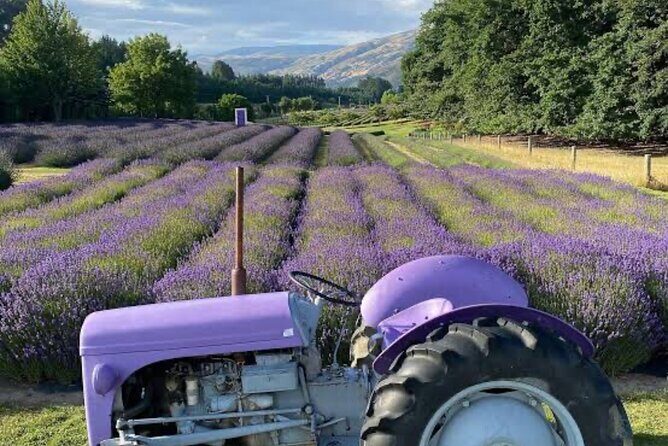 Private Queenstown and Wanaka City Day Tour - Key Points