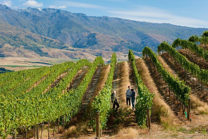 Private Queenstown Wine Tour All-Inclusive Tour - Exploring the Queenstown Private Wine Tour in Detail
