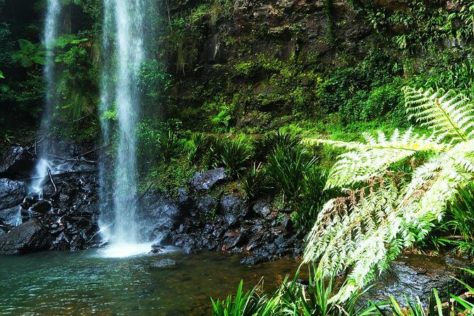 Private Rainforest & Wildlife Tour - Build Your Own Experience - Practicalities and Considerations