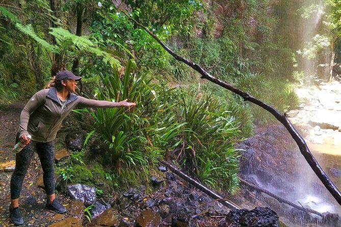Private Rainforest & Wildlife Tour - Build Your Own Experience - Who Should Consider This Tour?