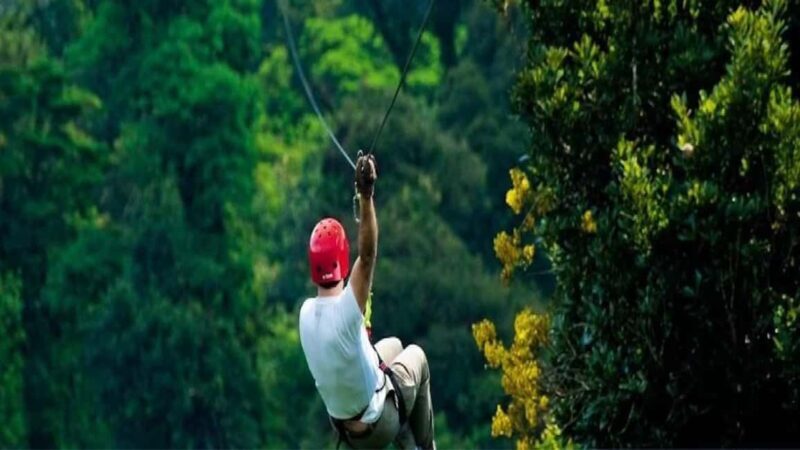 Private: Rainforest Ziplining Adventure in Anamuya - Private: Rainforest Ziplining Adventure in Anamuya