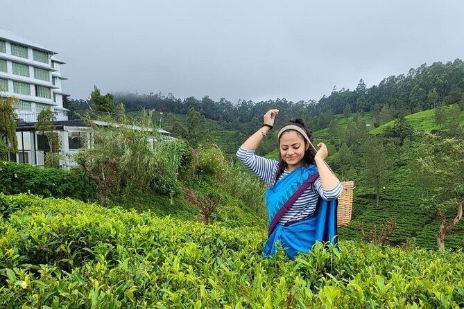 Private Ravana Falls and Nine Arches Bridge Ella Tour from Galle - Who Will Love This Tour?