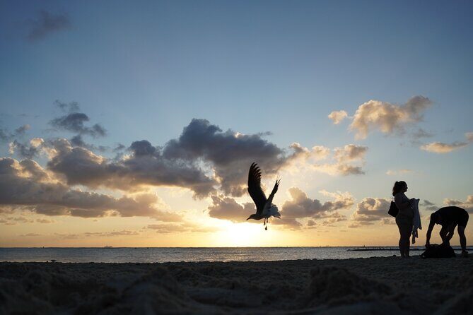 Private Relocation guide Settling Support and Local Orientation - A Deeper Look at This Relocation Orientation