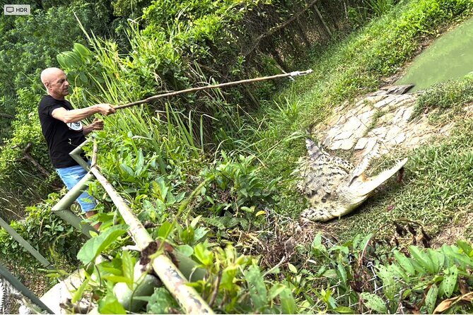 Private Reptile Zoo Adventure Tour with Guide in Cartagena - A Close Encounter with Cartagena’s Reptiles: The Private Reptile Zoo Adventure Tour