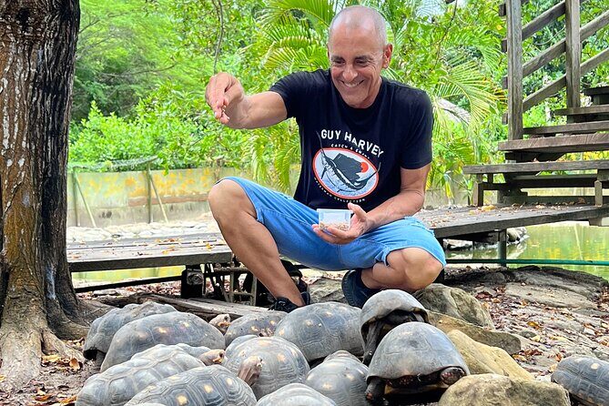 Private Reptile Zoo Adventure Tour with Guide in Cartagena - Exploring the Cartagena Reptile Experience in Detail