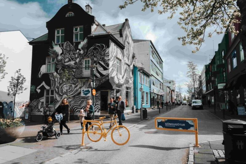 Private Reykjavik Shopping & Sightseeing Walking Tour - Who Should Consider This Tour?