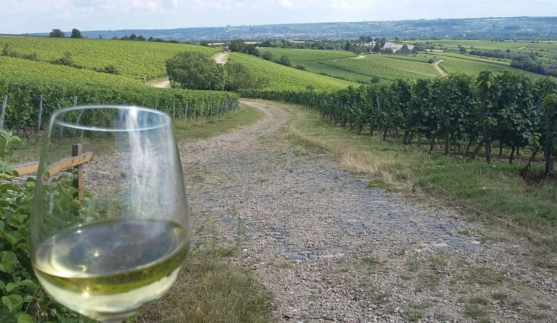 Private Rhine Valley tour with river cruise & wine tasting - Discovering the Rhine Valley: A Deep Dive