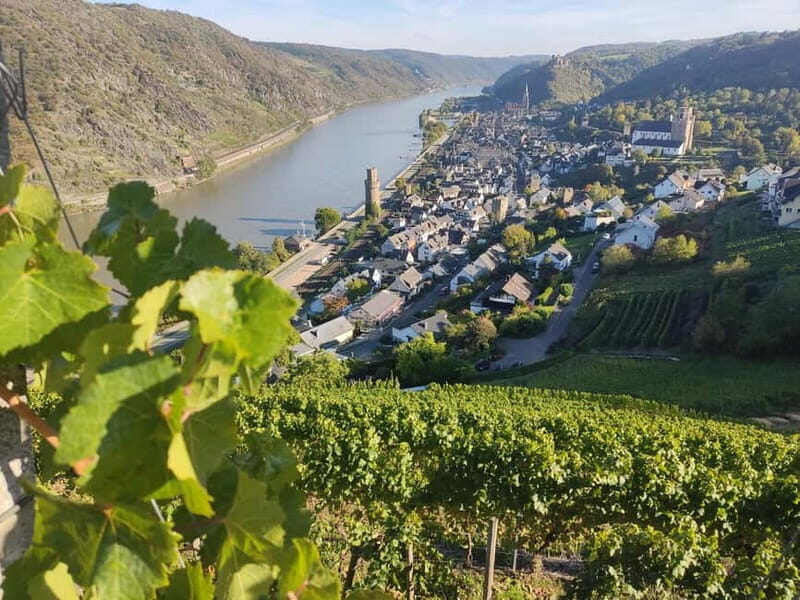 Private Rhine Valley tour with river cruise & wine tasting - Final Thoughts