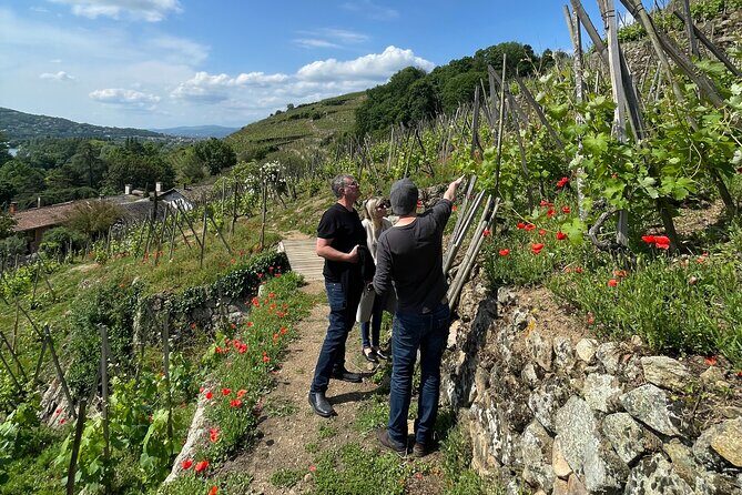 Private Rhône-Valley wine tour - Final Words