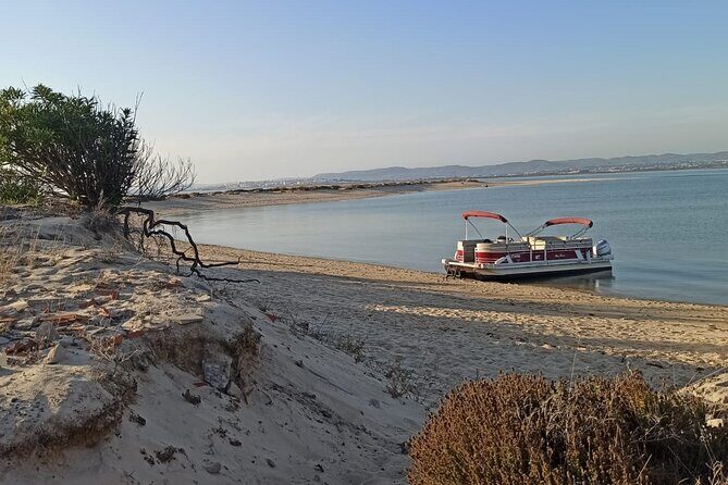 Private Ria Formosa Natural Park Boat Cruise from Faro - Wrapping Up