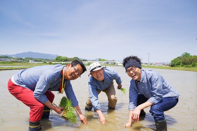 Private Rice Agriculture Experience in Mie - A Genuine Taste of Japan’s Rice Culture: Private Rice Agriculture Experience in Mie