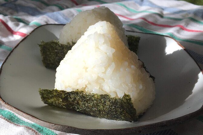 Private Rice Agriculture Experience in Mie - Who Should Consider This Tour?