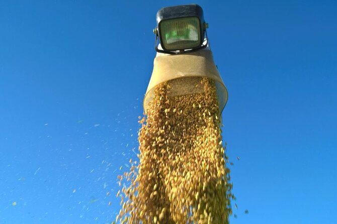 Private Rice Agriculture Experience in Mie - Final Thoughts