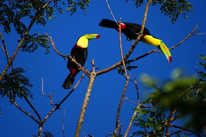 Private Rincon de la Vieja Volcano combo Tour - Key Points