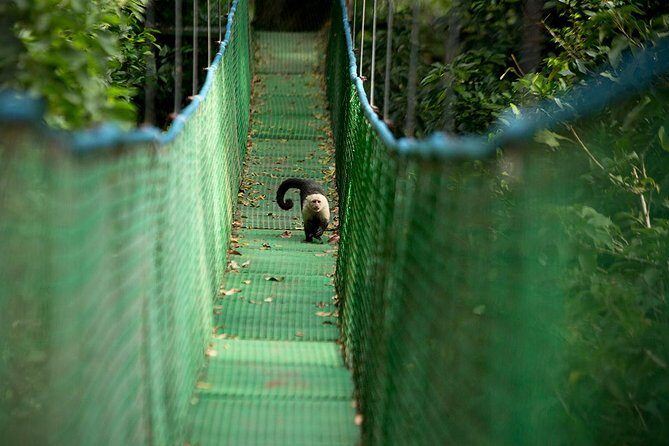 Private Rincon de la Vieja Volcano combo Tour - Frequently Asked Questions