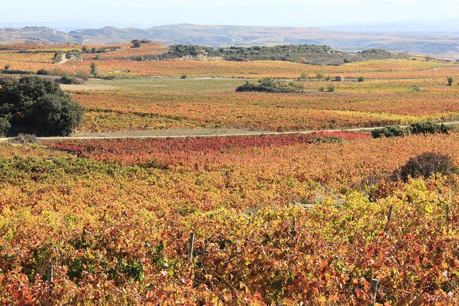 Private Rioja Wine Tasting Tour from San Sebastian - Authenticity and Expert Guidance