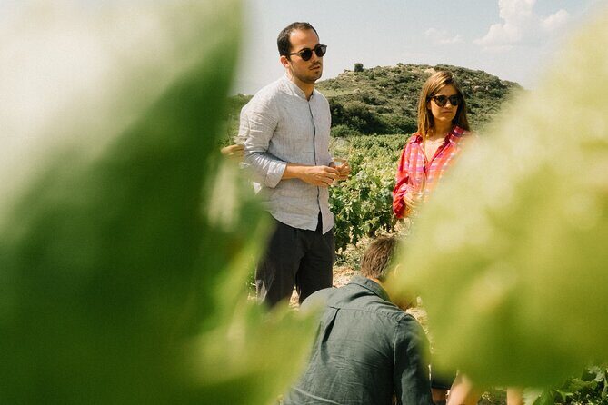 Private Rioja Wine Tour of Vines and Wines in Spain - A genuine Rioja experience: small-scale wineries, scenic villages, and passionate winemakers
