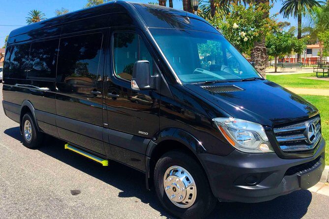 Private Road to Hana or any Maui destination in Luxury Mercedes Sprinter - Who Should Book This Tour?