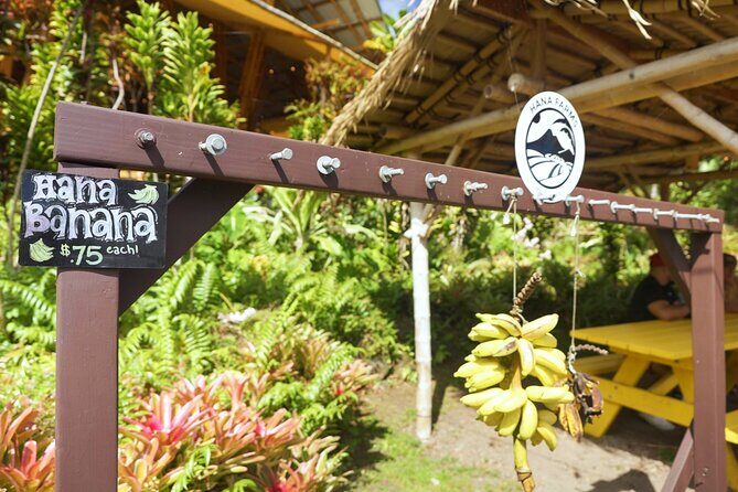 Private Road to Hana Rainforest & Waterfall Experience from Maui - Key Points
