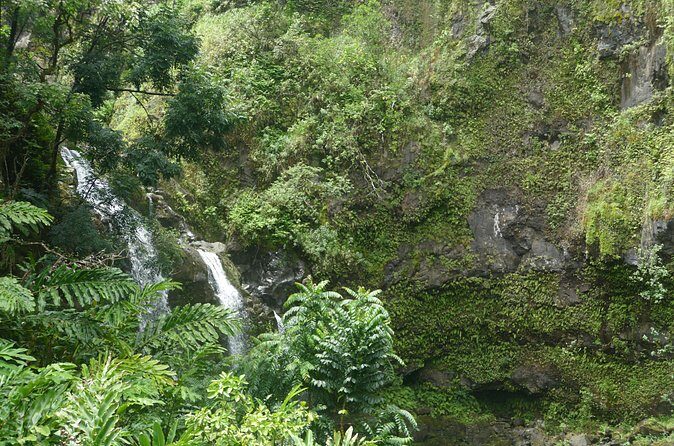 PRIVATE Road to Hana Tour - Who should book this tour?
