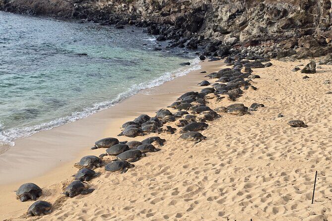 Private Road to Hana Tour with Pickup - Exploring the Maui Road to Hana: A Private Tour with Pickup