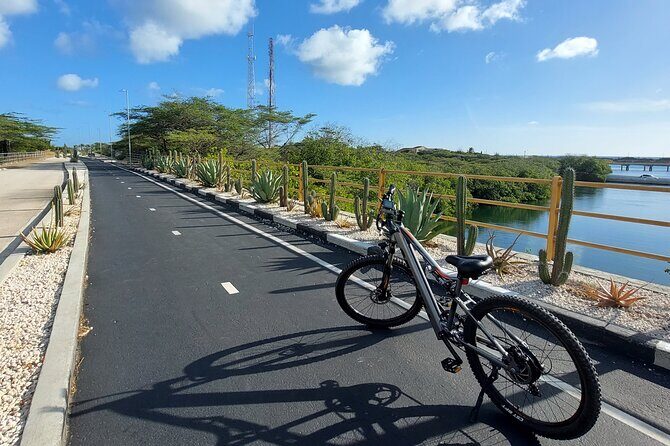 Private Road to San Nicolas Culture Heritage by E-Bike Aruba - Final Thoughts