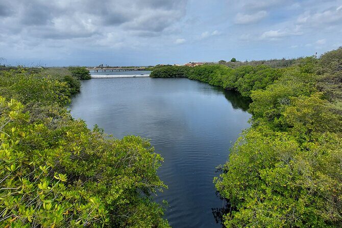 Private Road to San Nicolas Culture Heritage by E-Bike Aruba - FAQ