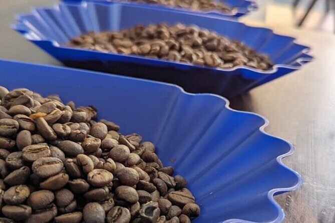 Private Roasting and Cupping Coffee Experience - Key Points
