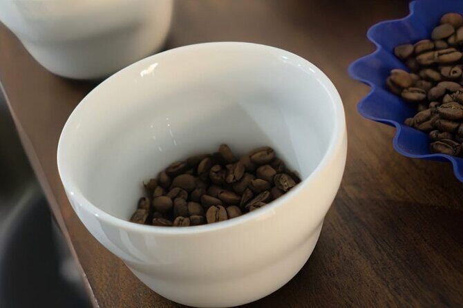 Private Roasting and Cupping Coffee Experience - In-Depth Review of the Coffee Roasting and Cupping Experience