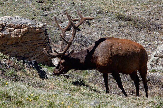 Private Rocky Mountain National Park 4 Hour Tour - FAQ