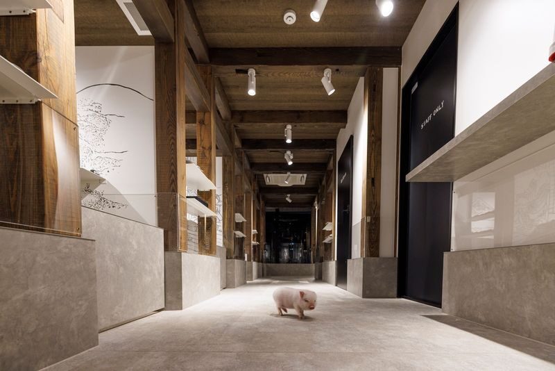 Private Room Micro Pig Cafe with Feeding Experience (Tokyo Asakusa) - The piglet question: check before paying