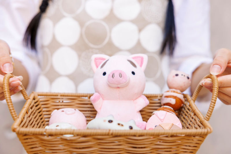 Private Room Micro Pig Cafe with Piglet Interaction and Snack Feeding Experience (Tokyo, Kichijoji) - Is $31.55 a fair price?
