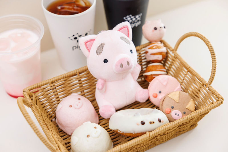 Private Room Micro Pig Cafe with Piglet Interaction and Snack Feeding Experience (Tokyo, Kichijoji) - Who will enjoy this visit most?
