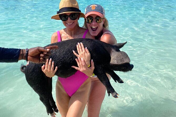 Private Rose Island, Swimming Pigs, Snorkeling and Turtles - What’s Included and How It Works